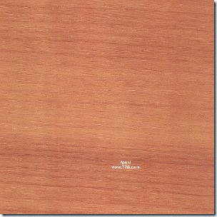WO46603