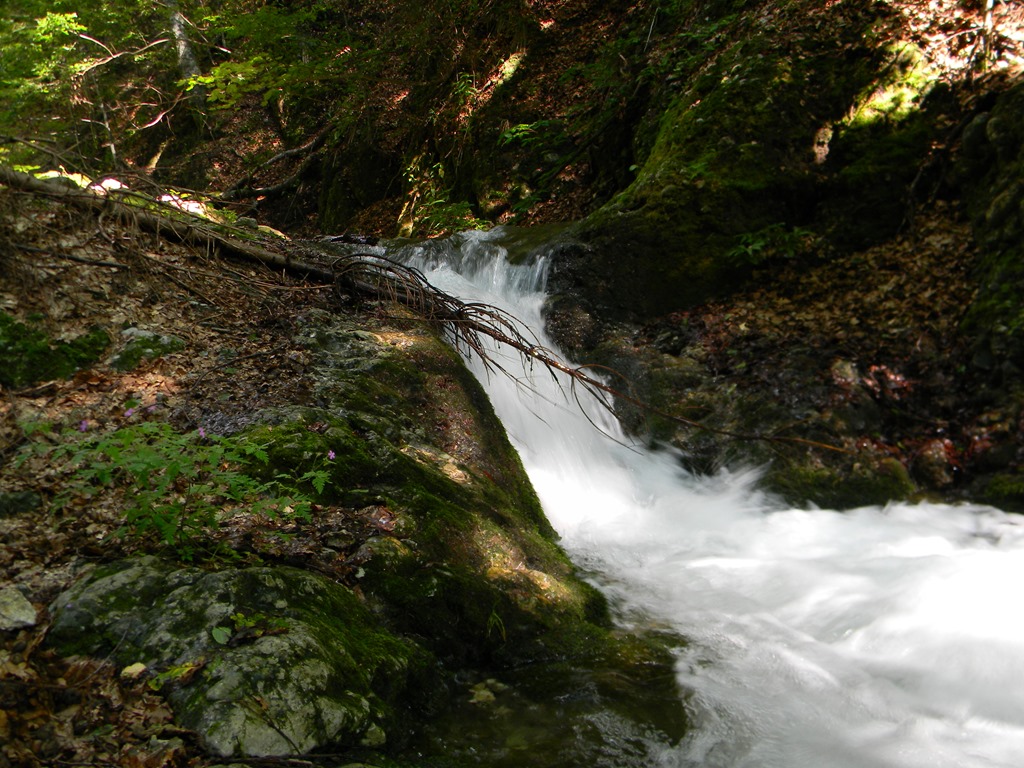 [DSCN32073.jpg]