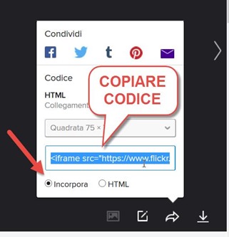 copiare-codice-incorpora