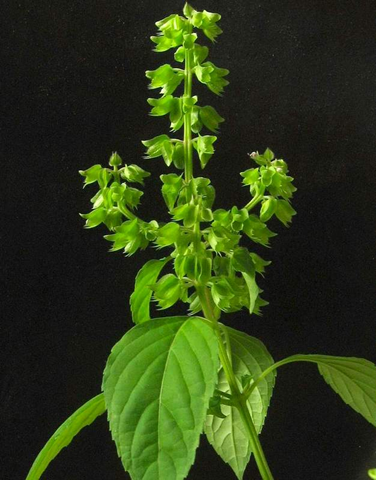 [image%255B48%255D.png]