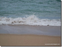 Zahara de los Atunes. Playa de Atlanterra. Jibia - P2280742