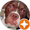 Google Review avatar