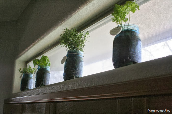 Windowsill Mason Jar Herbs