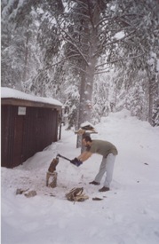 así se corta leña en Laponia. febrero de 2002