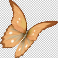 butterfly26.jpg
