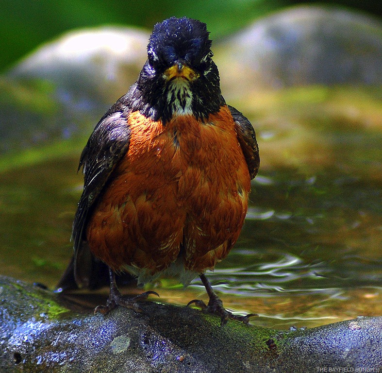 [DSC_2692%255B4%255D.jpg]