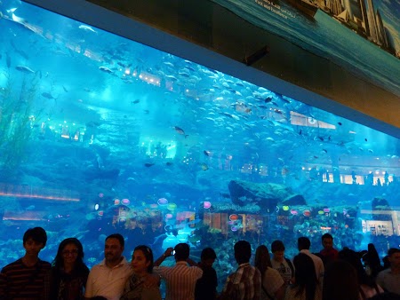 03. Acvariu - Dubai Mall.JPG