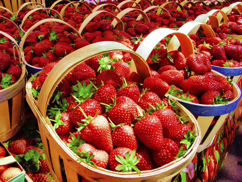 [Strawberries%255B7%255D.jpg]