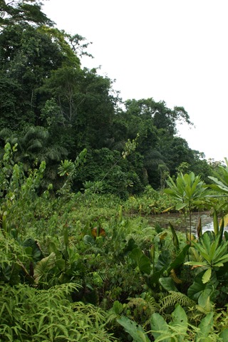 [DSC04130%255B3%255D.jpg]
