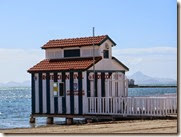 IMG_0441 IMG_0441