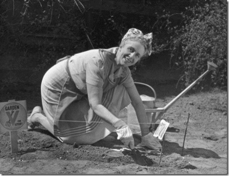 george-marks-mature-woman-working-in-vegetable-garden