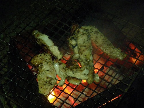 [130521463.jpg]
