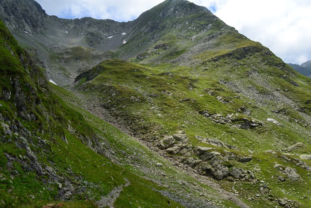 [DSC_18653.jpg]