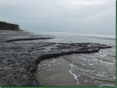 Ocean front walk 022