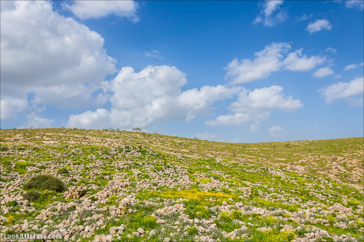 LookAtIsrael.com - Ручей (нахаль) Талкид | Nahal Talkid | נחל תלקיד