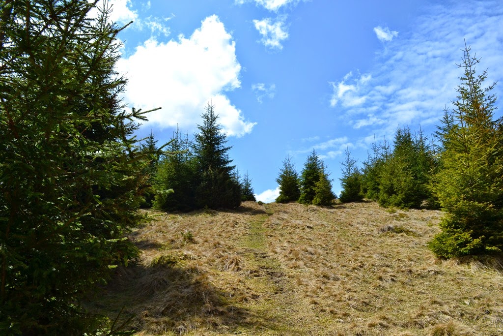 [DSC_80613.jpg]