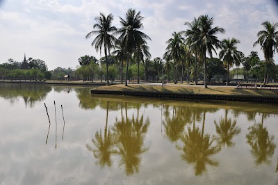 DSC_0556.JPG