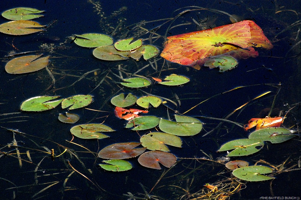 [DSC_9923%255B4%255D.jpg]