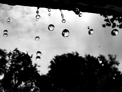 [Falling_Water_10__Raindrops_WP_by_richardxthripp%255B3%255D.jpg]