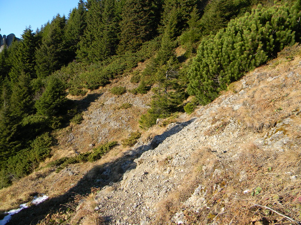 [DSCN48513.jpg]