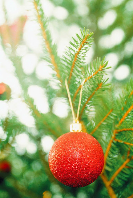 Christmas Ornament on Tree --- Image by © Royalty-Free/Corbis