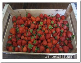 caget-fraises_13808