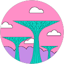 Image Google de Sonia Zarrougui