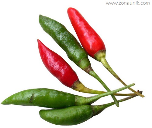 [cabe-rawit%255B3%255D.jpg]