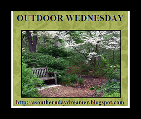 Outdoor-Wednesday-button_thumb1_thum[2]