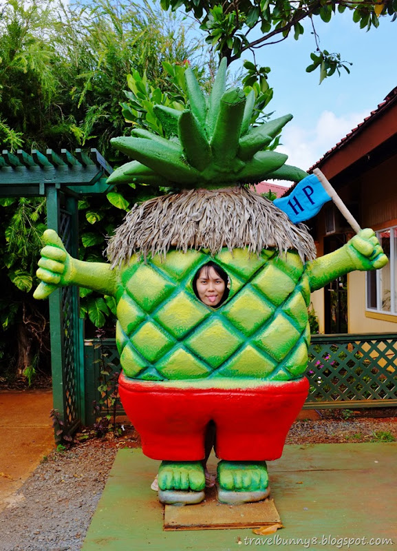DSCF1337 DSCF1337