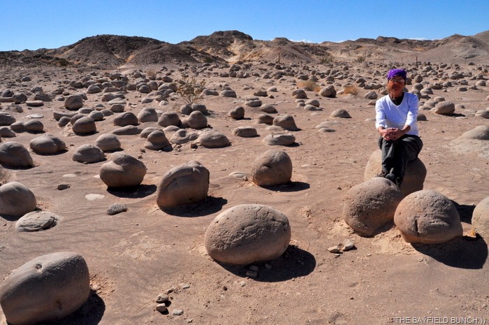 [DSC_0071%255B3%255D.jpg]