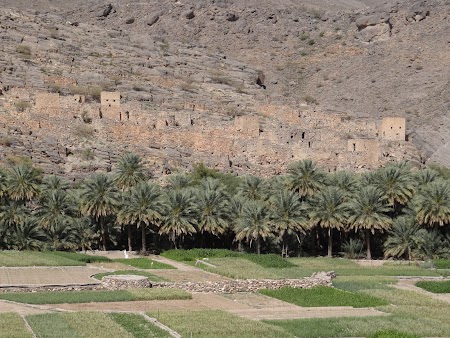 31. Oaza in Oman.JPG