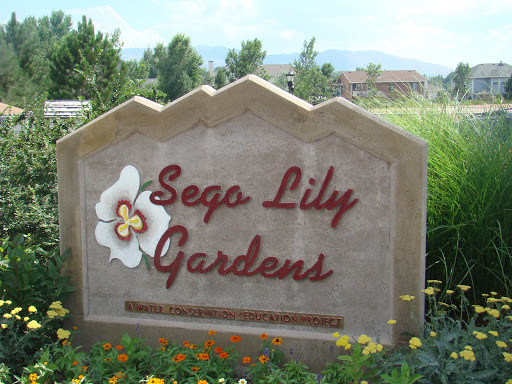 Sego Lily Gardens