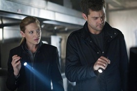 Fringe Screen 03