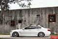 Vossen-16