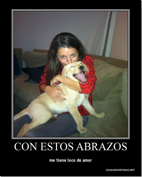 desmotivaciones animales 1 desmotivaciones animales 1