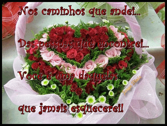 JorgeDiniz0334.gif