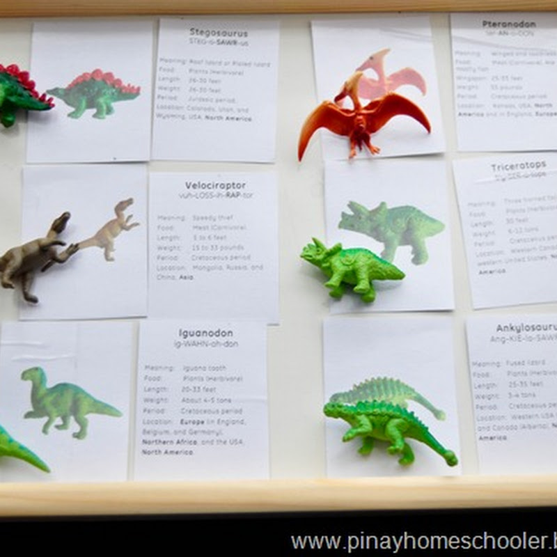 dinosaur-cards-and-worksheets-free-printable-the-pinay-homeschooler
