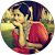 avani avani