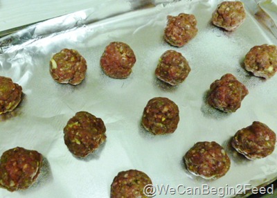 Feb 10 Spicy Meatballs 001