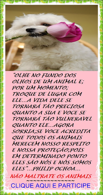 cats%2525C3%2525A3nimais.jpg