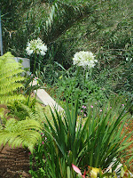 DSC02461.jpg
