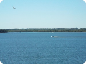 Boats on the lake