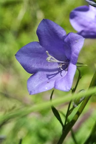 20090612 (1) (Small)