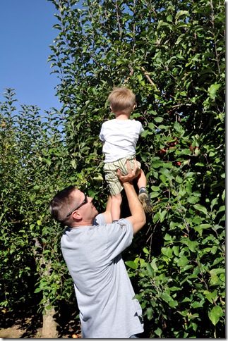 Finley and Daddy Picking Apple