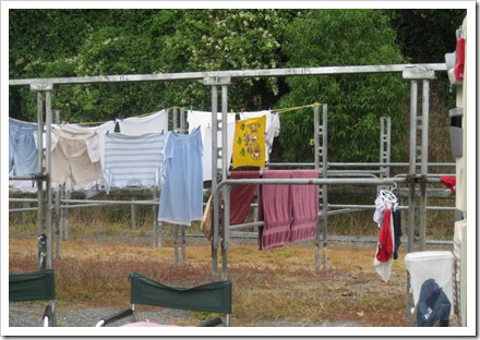 Wash day in camp at Kaikoura