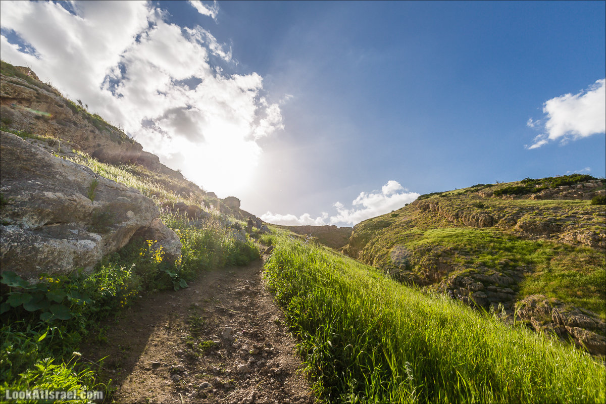 LookAtIsrael.com - Ручей (нахаль) Талкид | Nahal Talkid | נחל תלקיד
