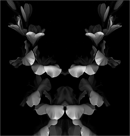 Rorschach Bouquet - flowers 002