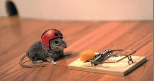 MOTUS A.D.: “If I only had a brain…”
