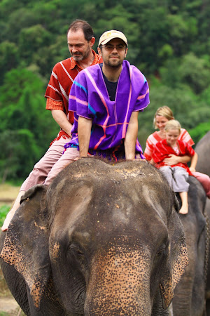 Atractii Thailanda: Elephant trekking